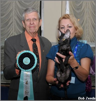 Victory Step Yushimito - 2nd Best Cat